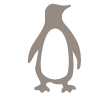 galapagos penguin