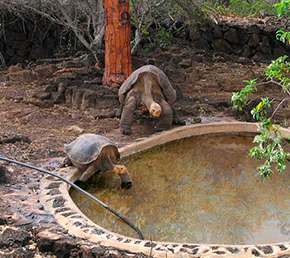 el chato reserve Archipel ATC Cruises Galapagos Islands Ecuador