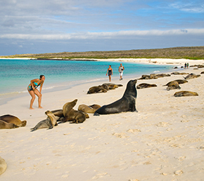 Gardner Bay Oniric Cruises Galapagos Islands Ecuador