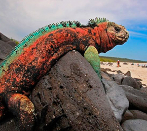 Suarez point Oniric Cruises Galapagos Islands Ecuador