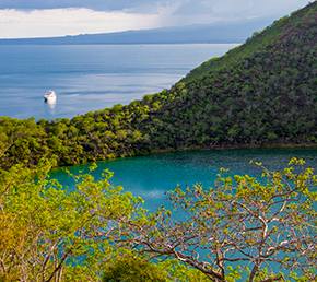 oniric-cruises-tagus-cove-galapagos