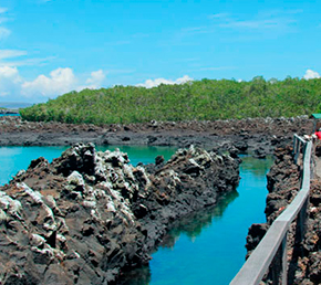 tintoreras-treasure-oniric-Cruises-Galapagos-Islands-Ecuador