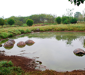 Highlands Oniric Cruises Galapagos Islands Ecuador