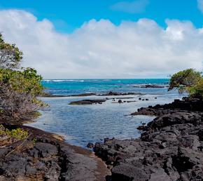 Wetlands-galapagos-islands-ecuador