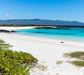 witch-hill-san-cristobal-galapagos-oniric-cruises