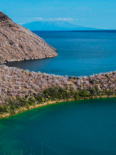 tagus-cove-galapagos-oniric-cruises